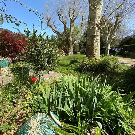 Les Platanes - Renoir Rez De Chaussee شقة *